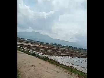 Jual Tanah Perumahan Murah 100 Ha Di Paseh Kota Bandung