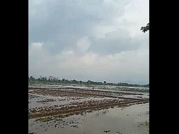 Jual Tanah Perumahan Murah 100 Ha Di Paseh Kota Bandung