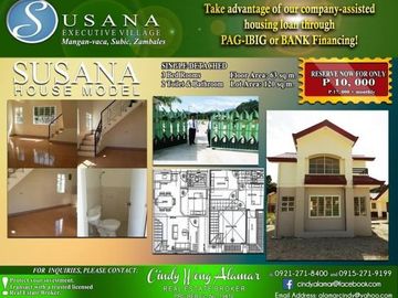 Subic Zambales Susana Executive Village House For Sale
