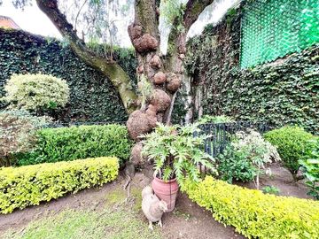 SE VENDE CASA EN BARRIO SANTA CATARINA, COYOACAN