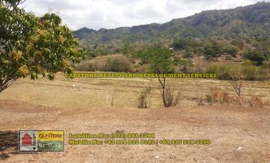1.5 hec Titled Agricultural Lot in Santo Tomas, La Union