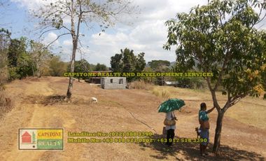 1.5 hec Titled Agricultural Lot in Santo Tomas, La Union