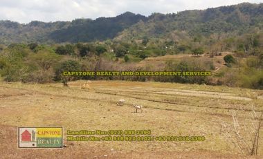 1.5 hec Titled Agricultural Lot in Santo Tomas, La Union