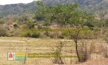 1.5 hec Titled Agricultural Lot in Santo Tomas, La Union