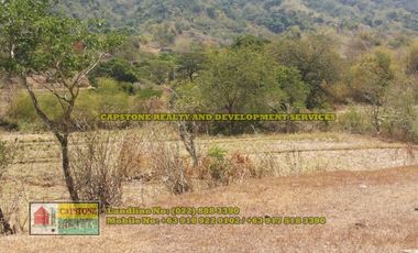1.5 hec Titled Agricultural Lot in Santo Tomas, La Union
