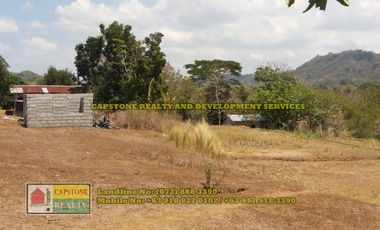 1.5 hec Titled Agricultural Lot in Santo Tomas, La Union