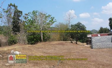 1.5 hec Titled Agricultural Lot in Santo Tomas, La Union