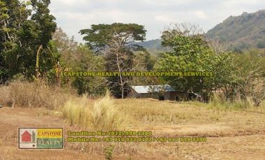 1.5 hec Titled Agricultural Lot in Santo Tomas, La Union