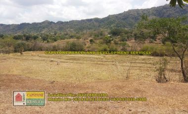 1.5 hec Titled Agricultural Lot in Santo Tomas, La Union