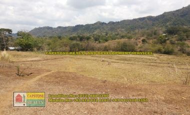 1.5 hec Titled Agricultural Lot in Santo Tomas, La Union