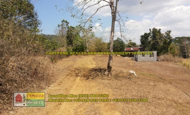 1.5 hec Titled Agricultural Lot in Santo Tomas, La Union