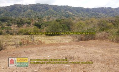 1.5 hec Titled Agricultural Lot in Santo Tomas, La Union