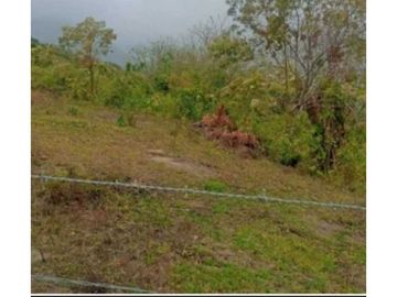 VENDO TERRENO EN LA CHORRERA CAPIRA LIDICE 4000MTS
