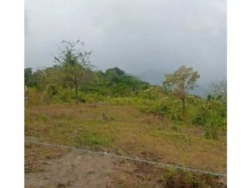 VENDO TERRENO EN LA CHORRERA CAPIRA LIDICE 4000MTS