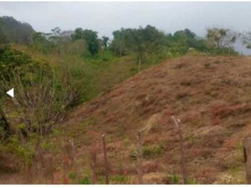 VENDO TERRENO EN LA CHORRERA CAPIRA LIDICE 4000MTS