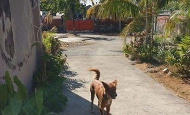 Spacious 3 BR House for Sale in Marigondon, Cebu along the road near the beach