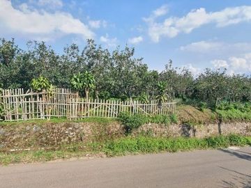 spesial tanah villa elite kawasan selecta kota batu