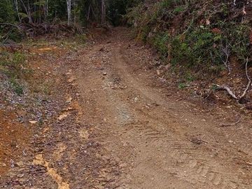 Agrícola en Venta en Purranque