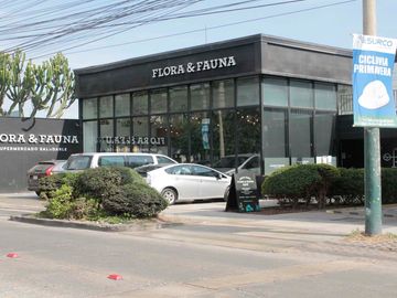 Ubicado en una de las zonas más exclusivas y demandadas de Lima, en el corazón de Chacarilla, este amplio local comercial de 1,000 m² ofrece una excel