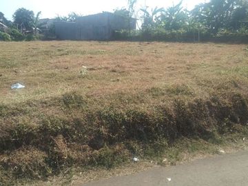 Tanah Bogor Terima SHM Pecah, Area Tanah Seral Kayu Manis