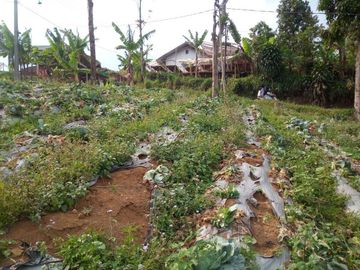 167 Tumbak Tanah View Bagus Pinggir Jalan Cipare Babakan, Cipada 2, Cisarua.