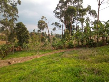 167 Tumbak Tanah View Bagus Pinggir Jalan Cipare Babakan, Cipada 2, Cisarua.