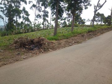 167 Tumbak Tanah View Bagus Pinggir Jalan Cipare Babakan, Cipada 2, Cisarua.