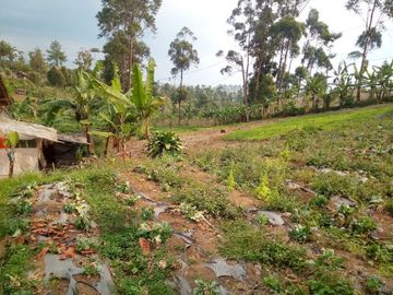 167 Tumbak Tanah View Bagus Pinggir Jalan Cipare Babakan, Cipada 2, Cisarua.