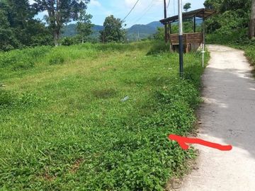 Dijual tanah di Halong Ambon. Lokasi strategis berhadapan dengan jalan utama