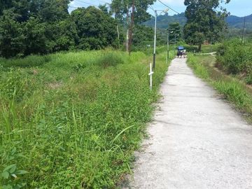Dijual tanah di Halong Ambon. Lokasi strategis berhadapan dengan jalan utama