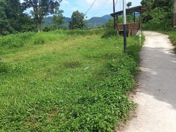 Dijual tanah di Halong Ambon. Lokasi strategis berhadapan dengan jalan utama