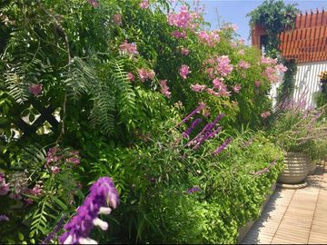 DEPARTAMENTO EN VENTA EN LINCE - PH DUPLEX
