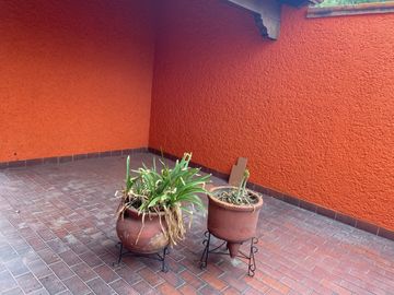 Casa en venta, en privada, iluminada, Cuadrante de San Francisco, Coyoacán