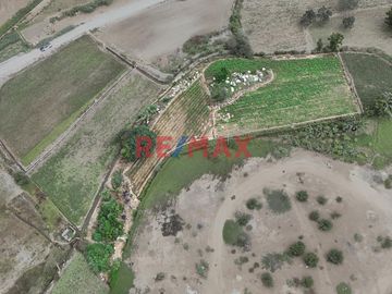 🌄 TERRENO AGRÍCOLA CON POTENCIAL INCREÍBLE 🌟

📍 Ubicación estratégica:
Sector Santa Rosa - Menocucho, entrando por el desvío de Santa Rosa, cerca a