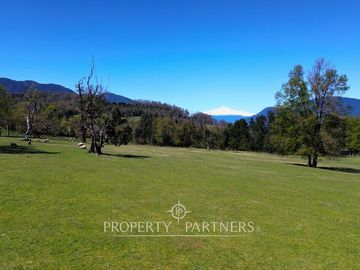Lindo terreno con vista y acceso a lago en tranquilo sector de Panguipulli