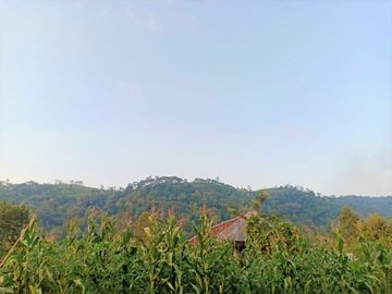 Tanah Kawasan Wisata Kemuning Ngargoyoso