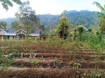 Tanah Kawasan Wisata Kemuning Ngargoyoso