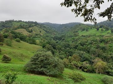 Se Vende Terreno para Desarrollar en Zona Rural, en la Montaña, Frente al Mar y Frente al río en Ayampe