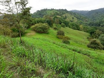 Se Vende Terreno para Desarrollar en Zona Rural, en la Montaña, Frente al Mar y Frente al río en Ayampe