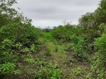 Se Vende Terreno para Desarrollar en Zona Rural, en la Montaña, Frente al Mar y Frente al río en Ayampe