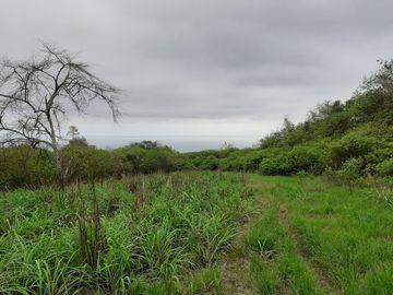 Se Vende Terreno para Desarrollar en Zona Rural, en la Montaña, Frente al Mar y Frente al río en Ayampe