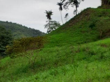 Se Vende Terreno para Desarrollar en Zona Rural, en la Montaña, Frente al Mar y Frente al río en Ayampe
