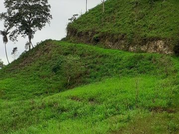 Se Vende Terreno para Desarrollar en Zona Rural, en la Montaña, Frente al Mar y Frente al río en Ayampe