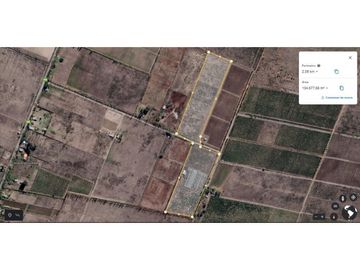 VENDO 10 HECTAREAS SAN RAFAEL MENDOZA