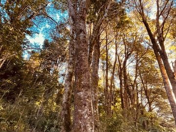 Parcela en venta en Cochamo