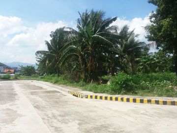 Lot only High End Subdivision at Valle Verde Cebu Mactan