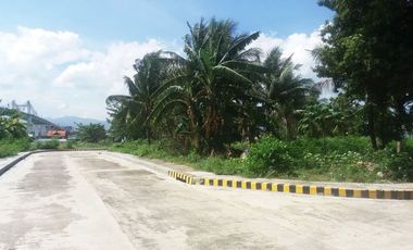 Lot only High End Subdivision at Valle Verde Cebu Mactan