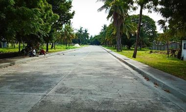 Lot only High End Subdivision at Valle Verde Cebu Mactan