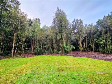 Casa Contemporánea inmersa en bosque nativo-3D/3B-El Bosque
