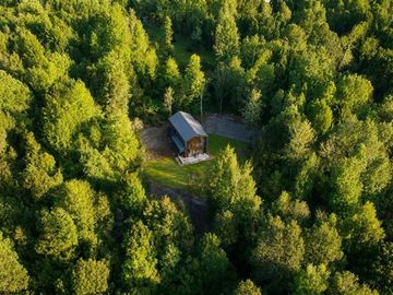 Casa Contemporánea inmersa en bosque nativo-3D/3B-El Bosque